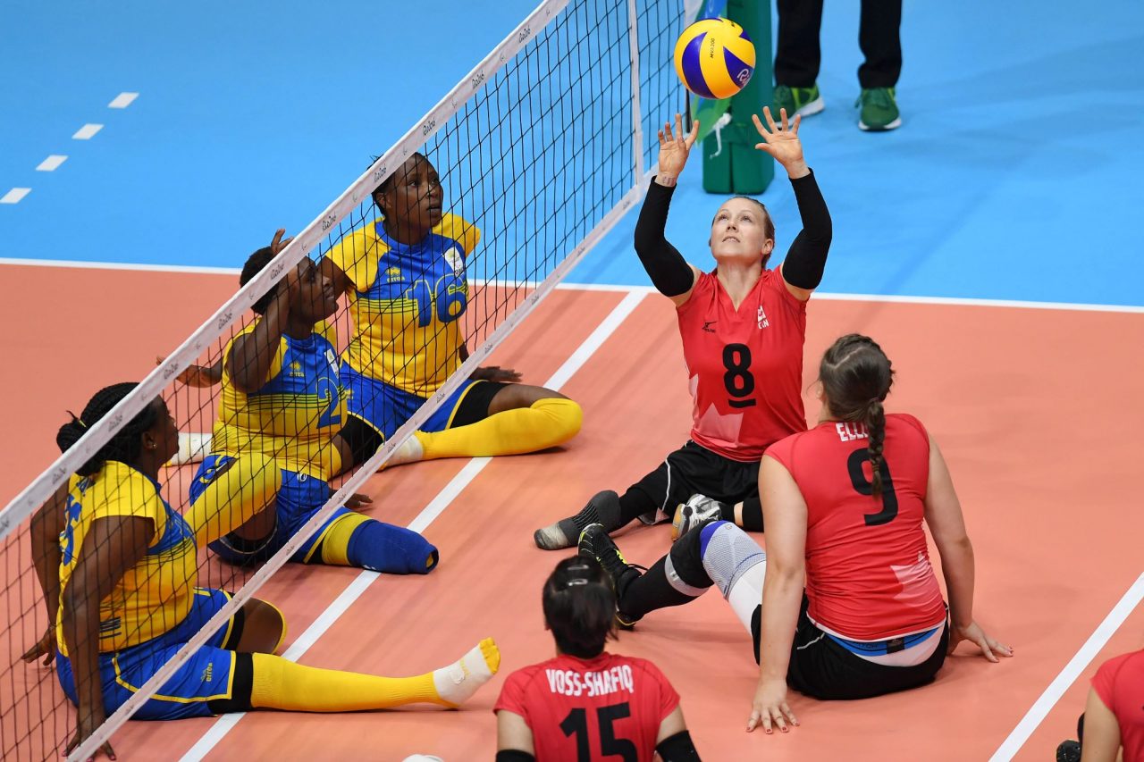 Volleyball assis aux Jeux de Paris 2024