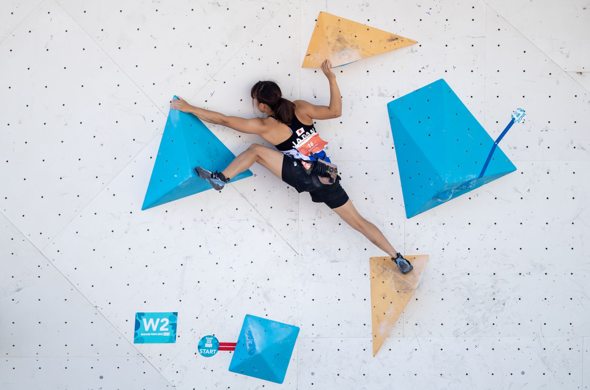 Sport Climbing at the Paris 2024 Olympic Games